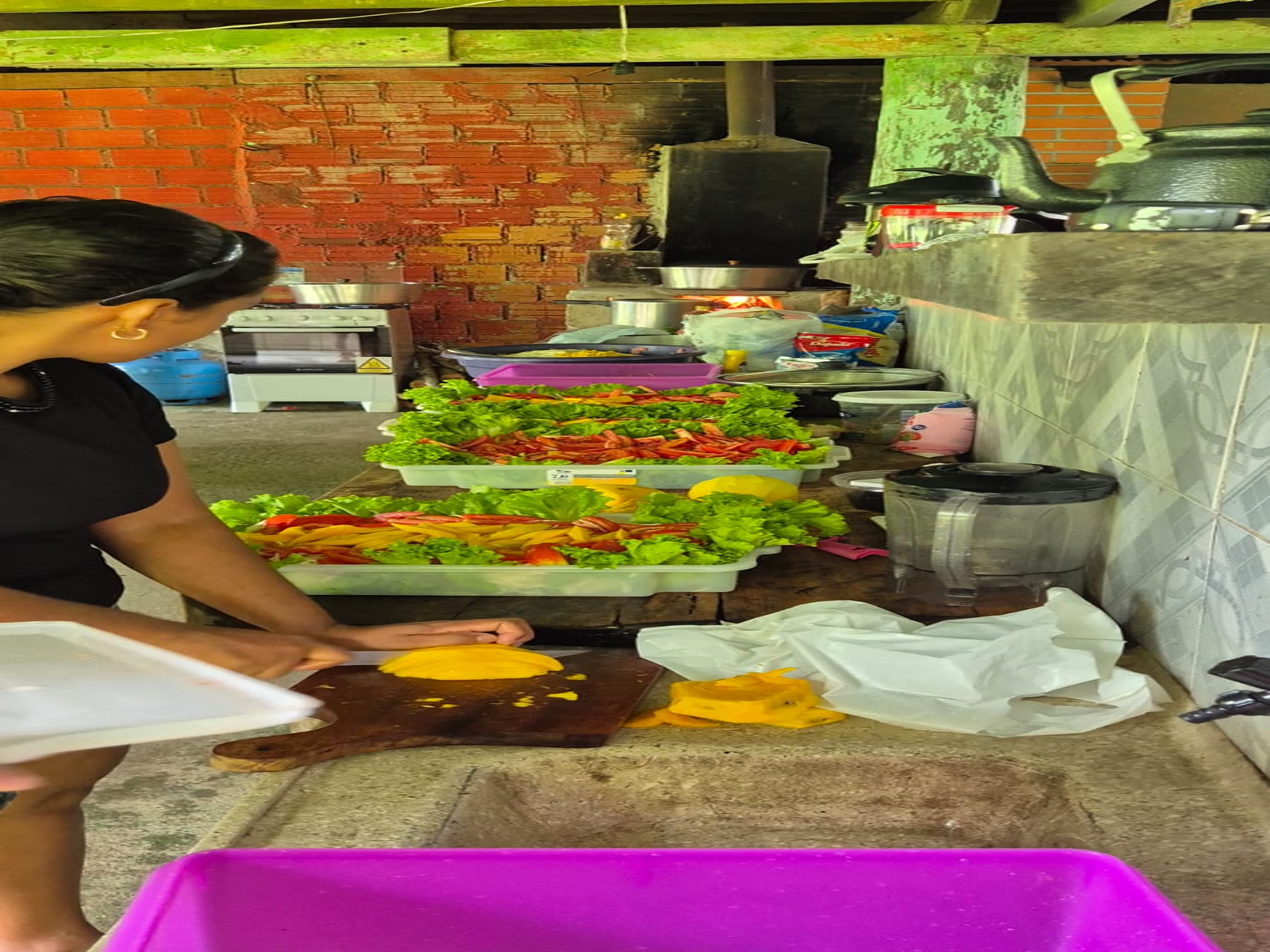 Confraternização Câmara Municipal de Castanheiras.